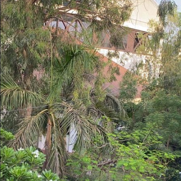 Meet your Posher, Dimple - Picture 1 of 1